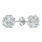Regal Crown Aquamarine Earrings
